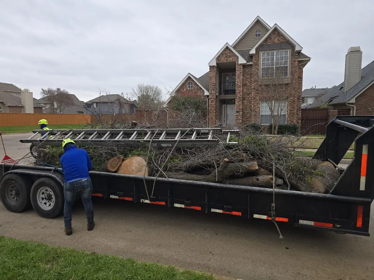 Expert Lot Clearing with proper safety equipment in Dresser